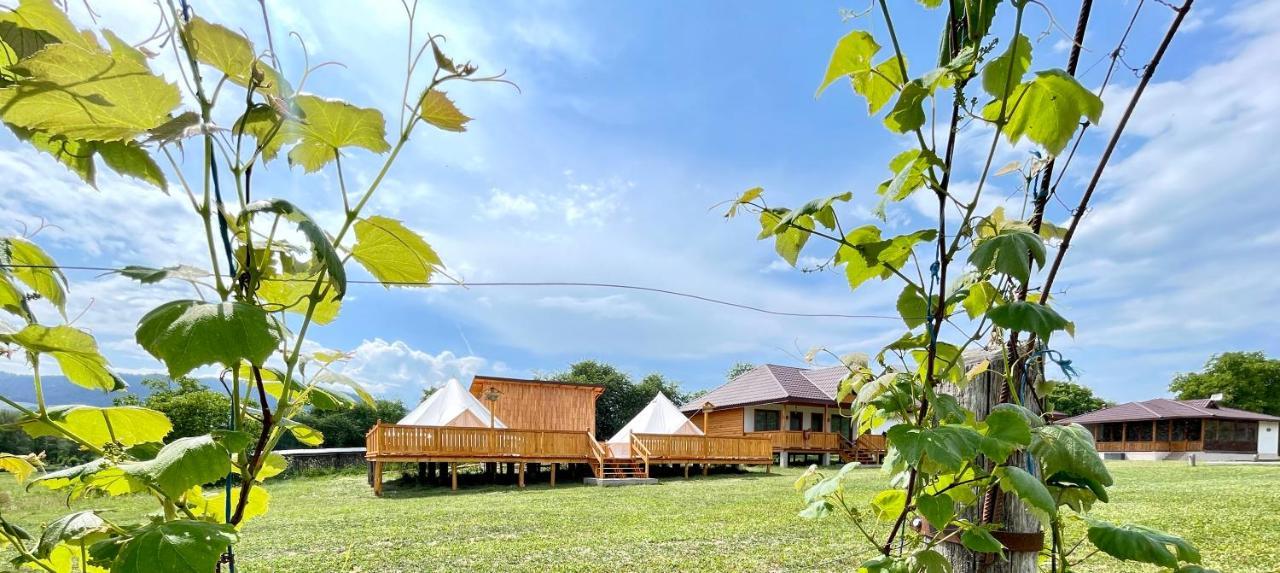 Glamping Agapia Agapescu 호텔 외부 사진